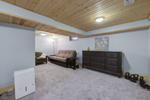 Lower Level - Family Room