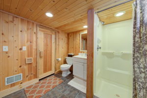 Lower Level - Bathroom