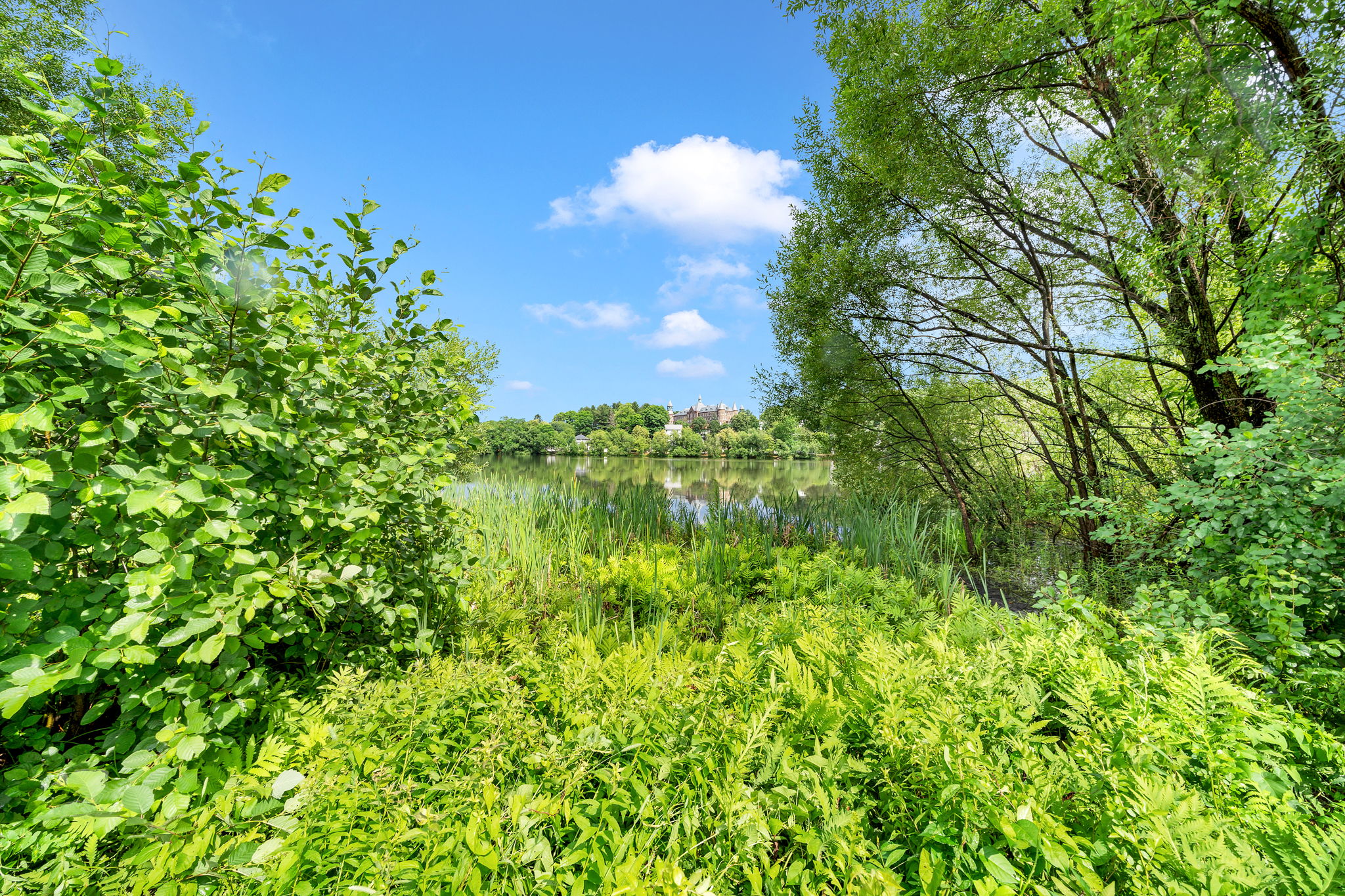 144 Kenrick St, Boston, MA 02135, US Photo 25