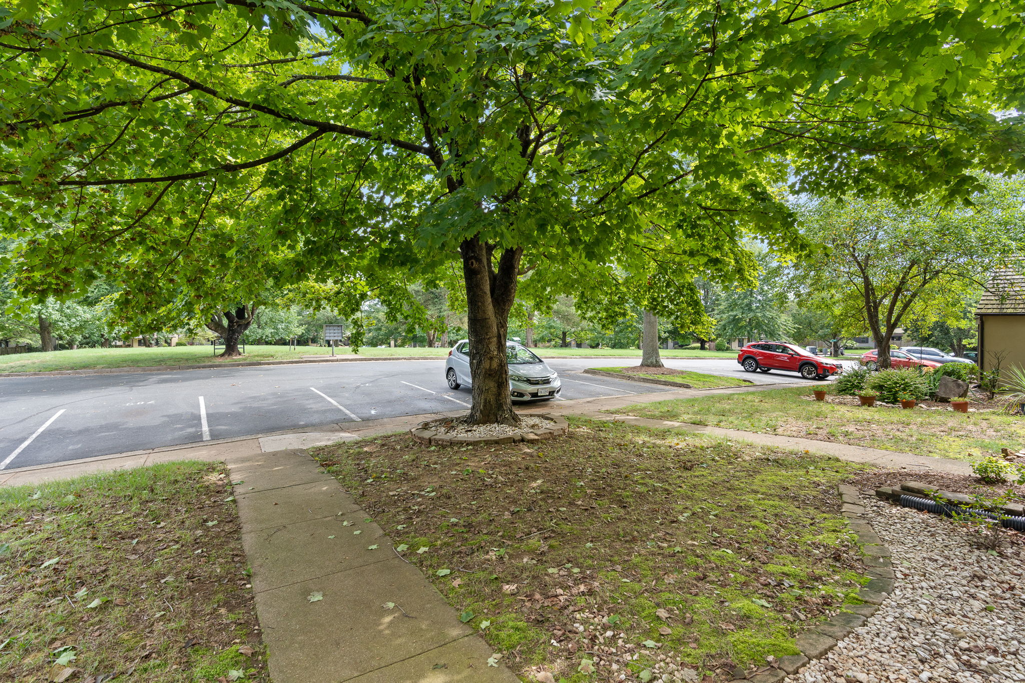 782 Merion Greene, Charlottesville, VA 22901, US Photo 8