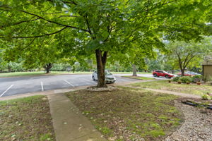 782 Merion Greene, Charlottesville, VA 22901, US Photo 7