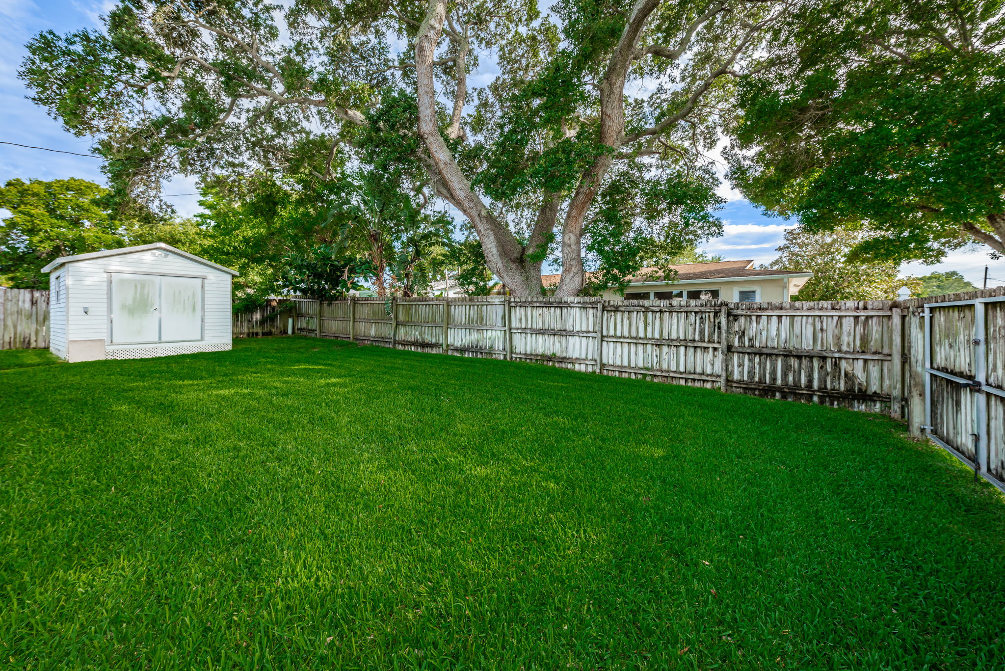 Backyard1-5