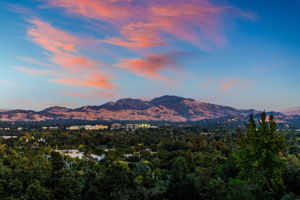 Stately Mt Diablo - take a hike