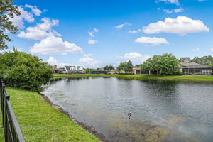 Waterfront