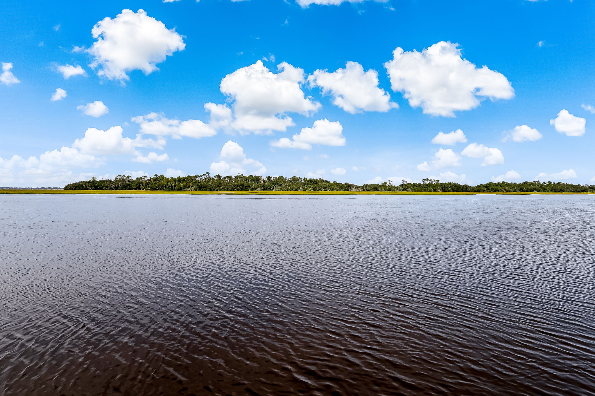 Marsh View