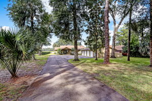 Driveway