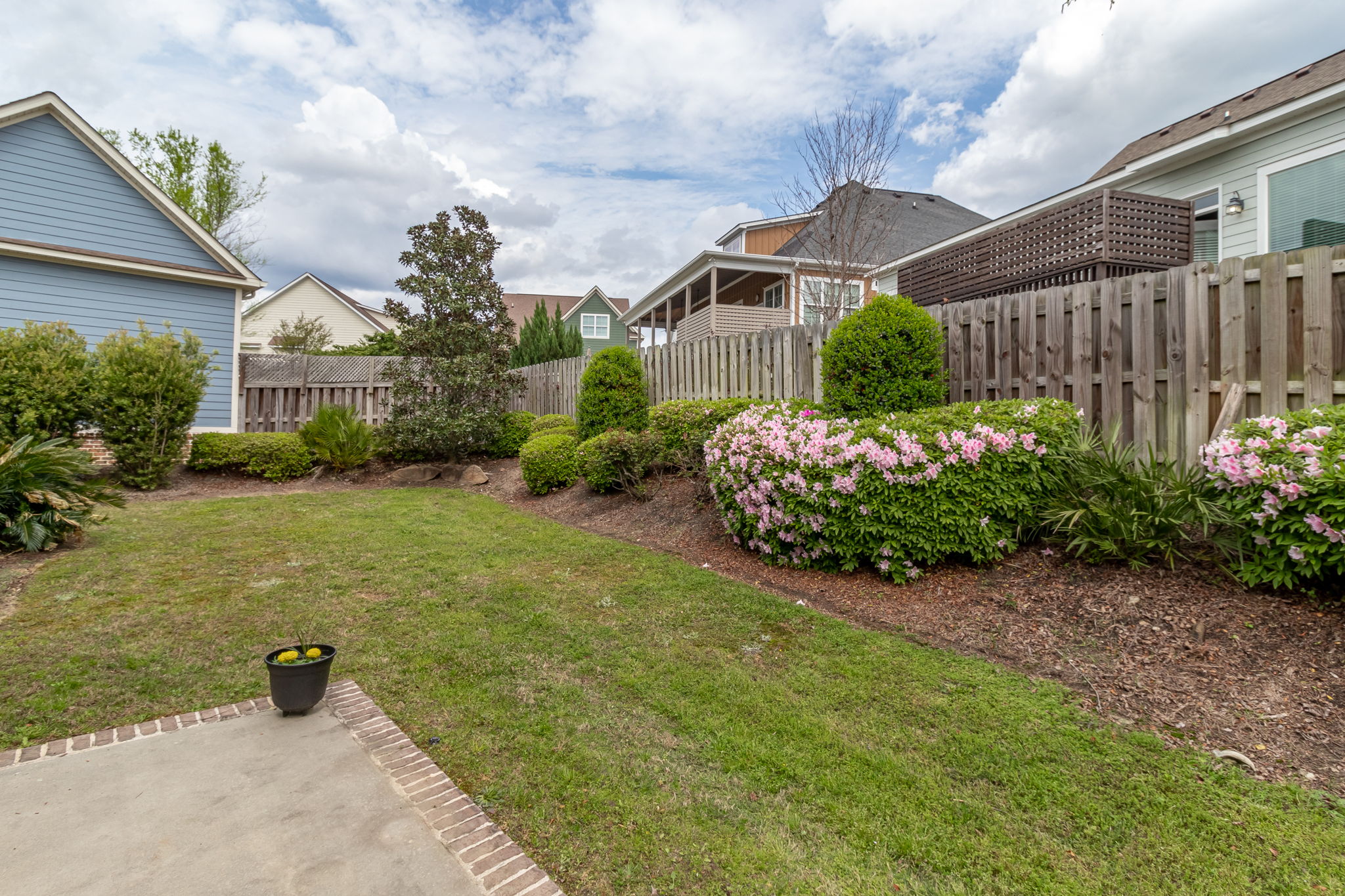 Back Yard