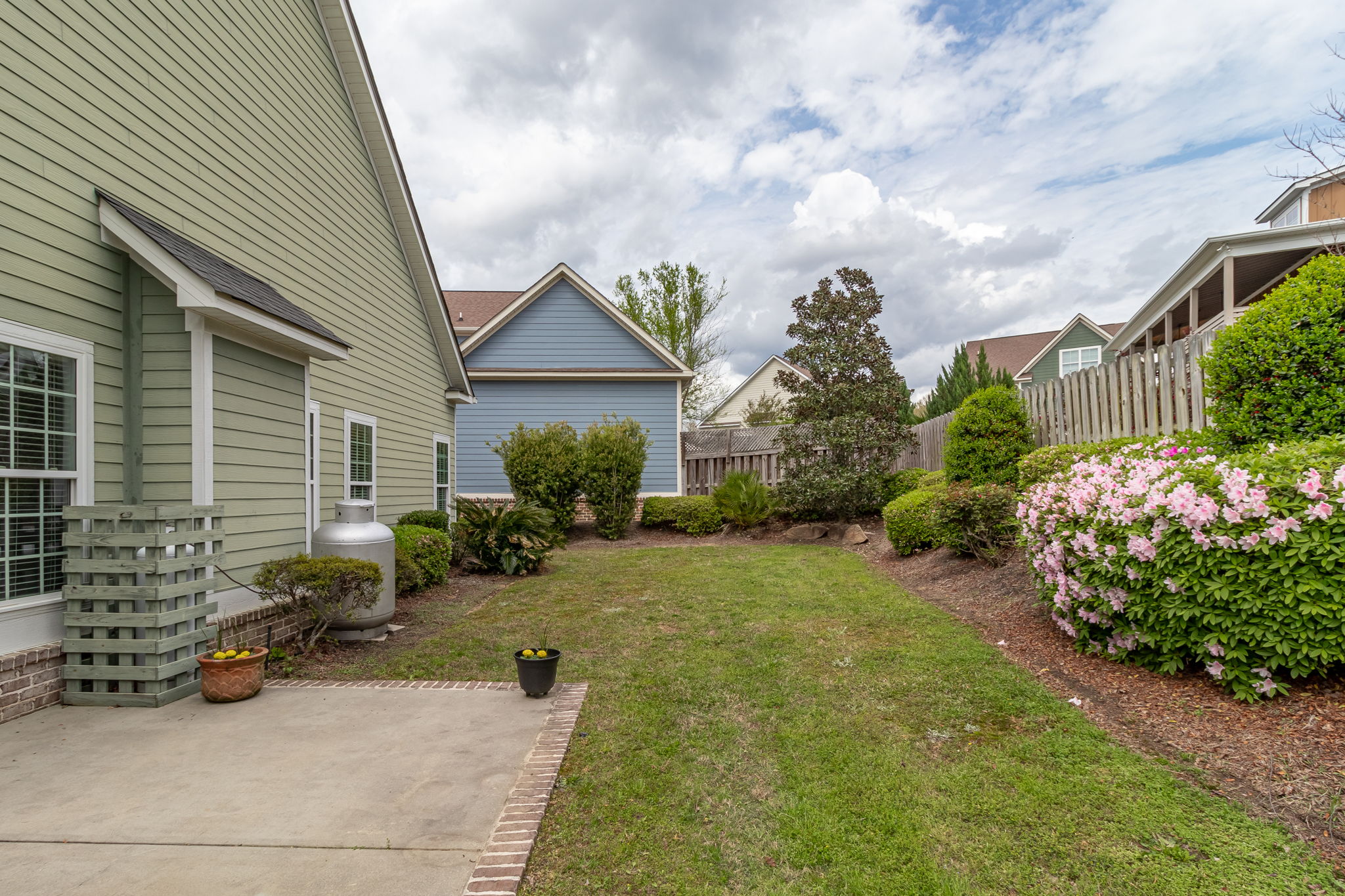 Back Yard