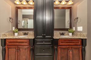 Owner's En-Suite Bath