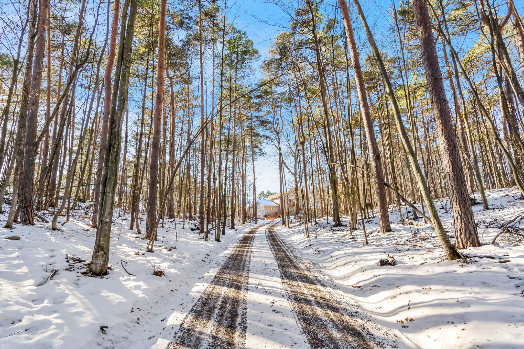 668435 20 Sideroad, Mulmur, ON  L9V 0W2, CA Photo 10