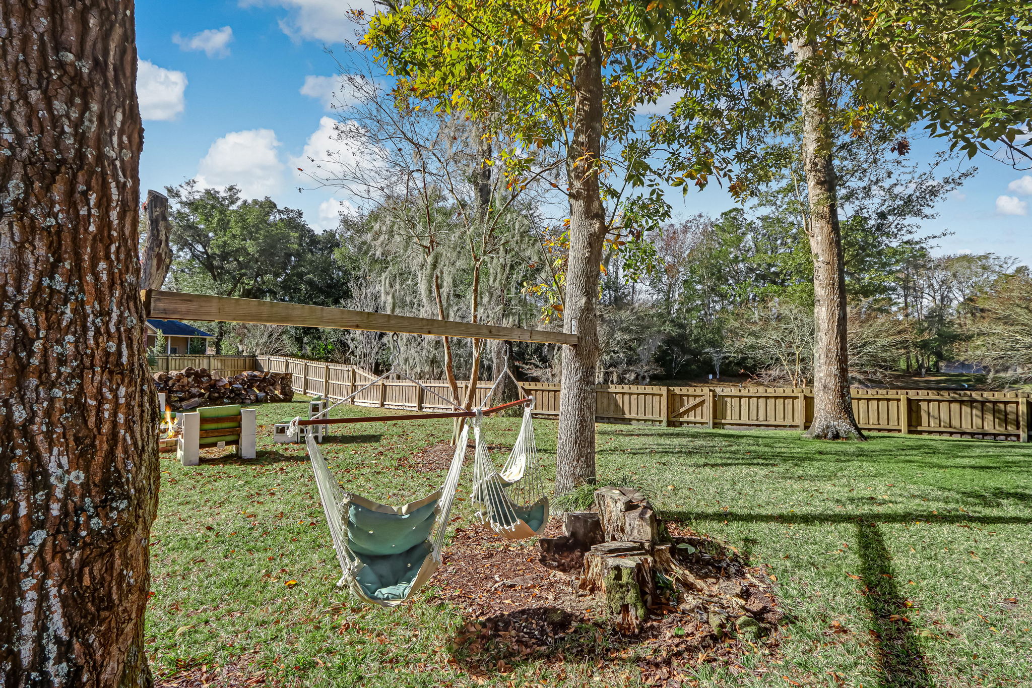 Back Yard
