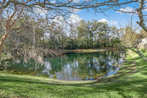 Pond