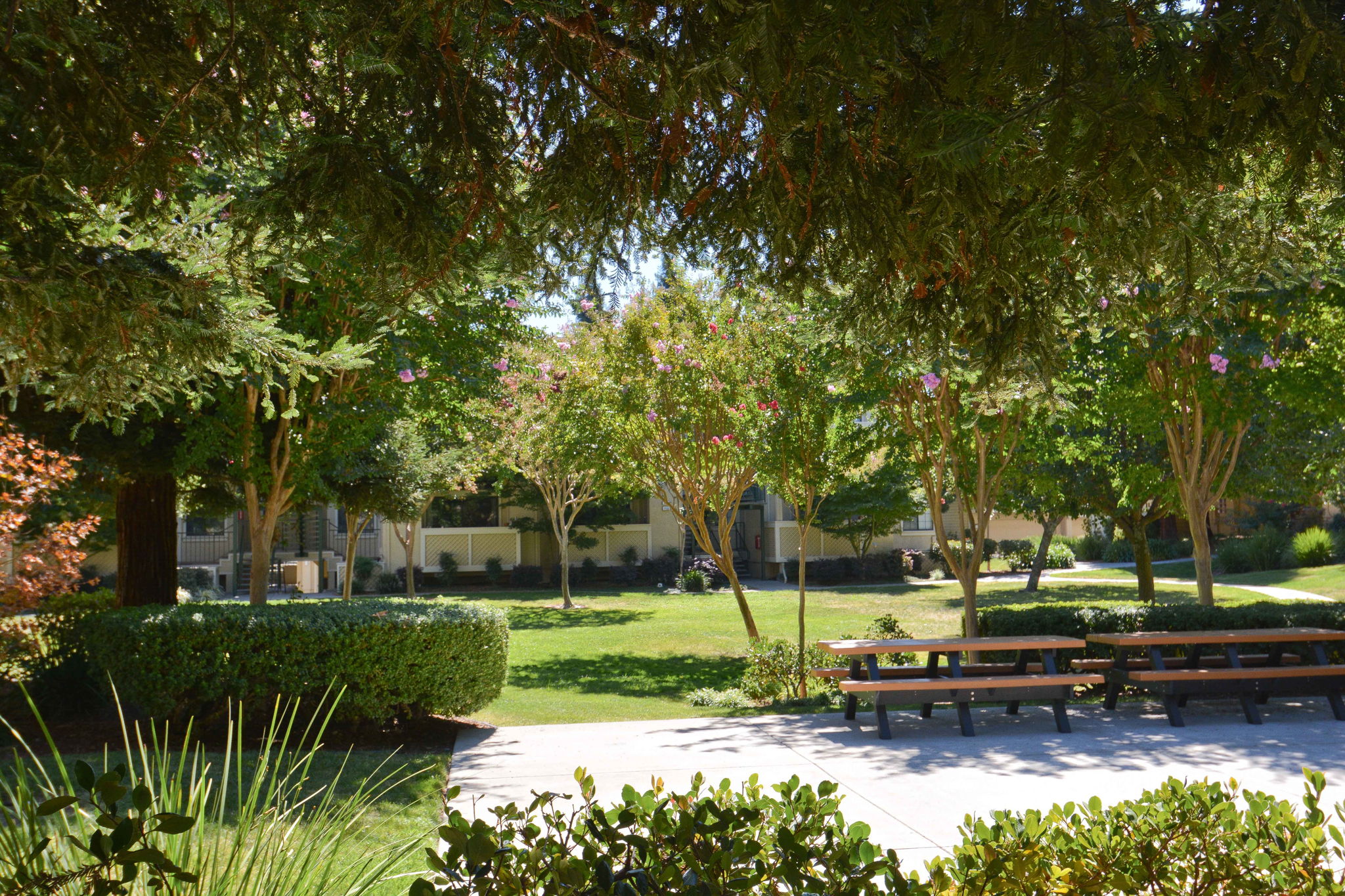 2094 Fostoria Cir, Danville, CA 94526 ALL ACCESS PHOTO