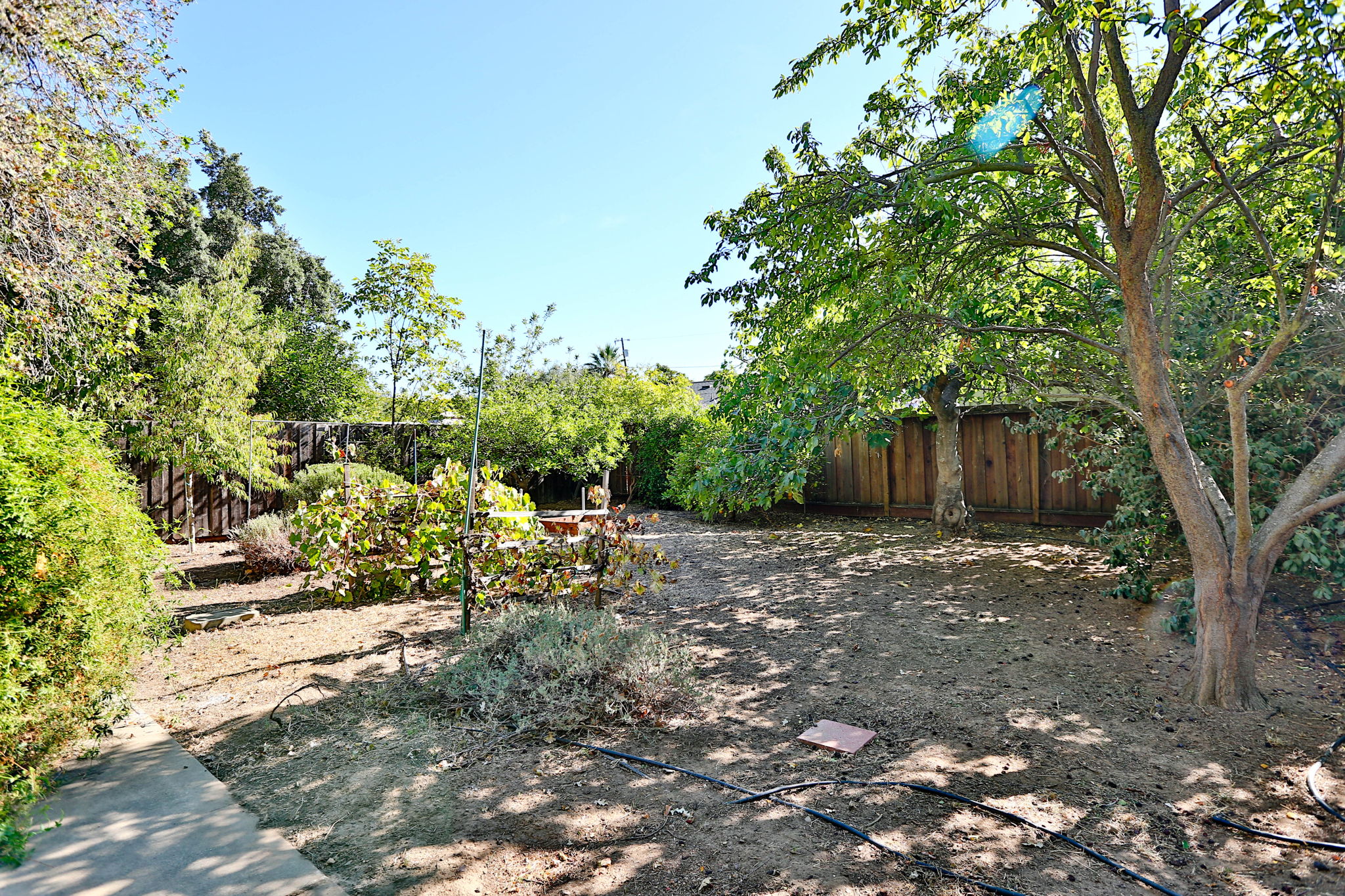 1450 San Carlos Ave, Concord, CA 94518, US Photo 21