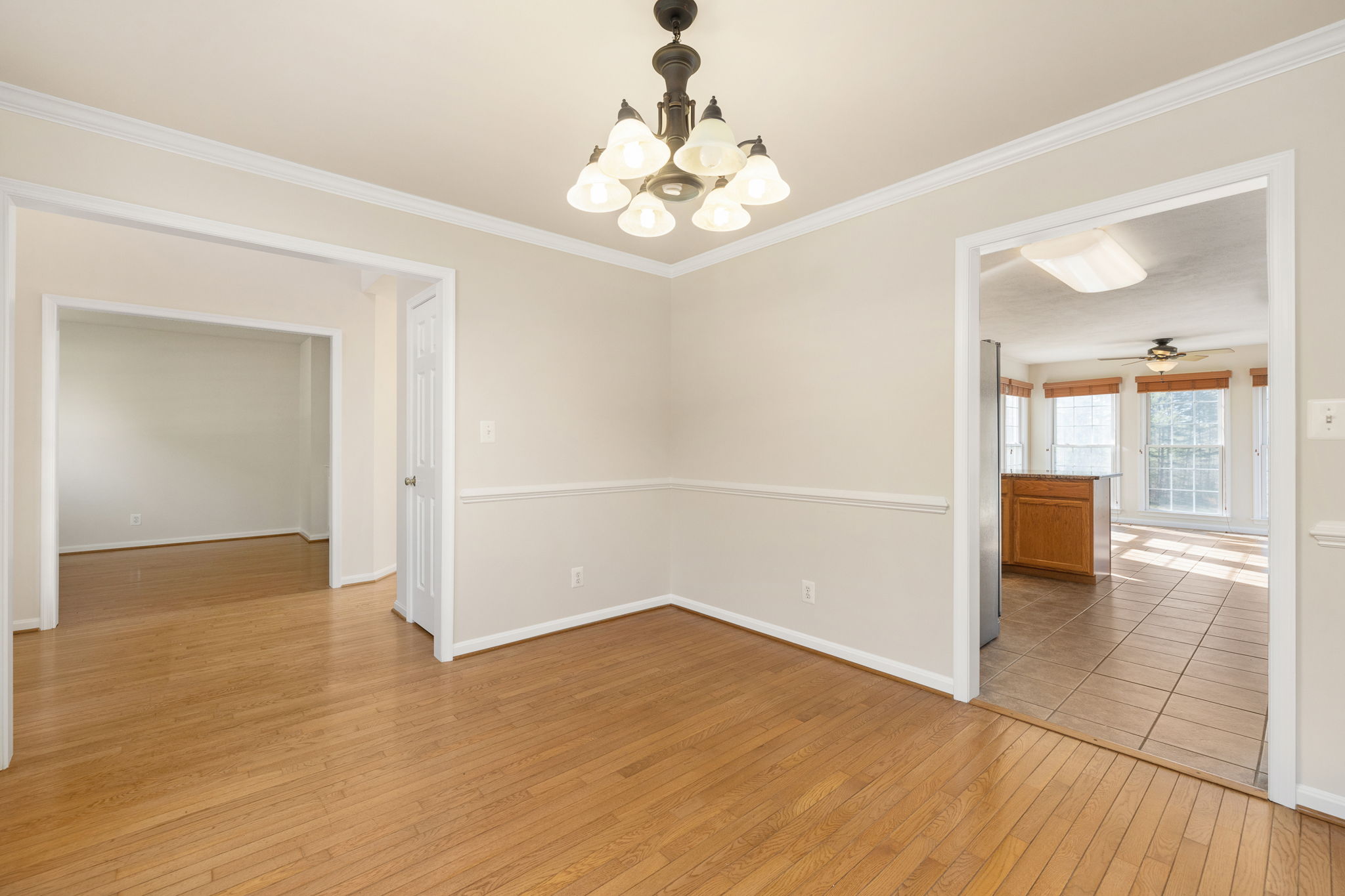 7312 Ni River Landing, Fredericksburg, VA 22407 Jason Buttram Photography