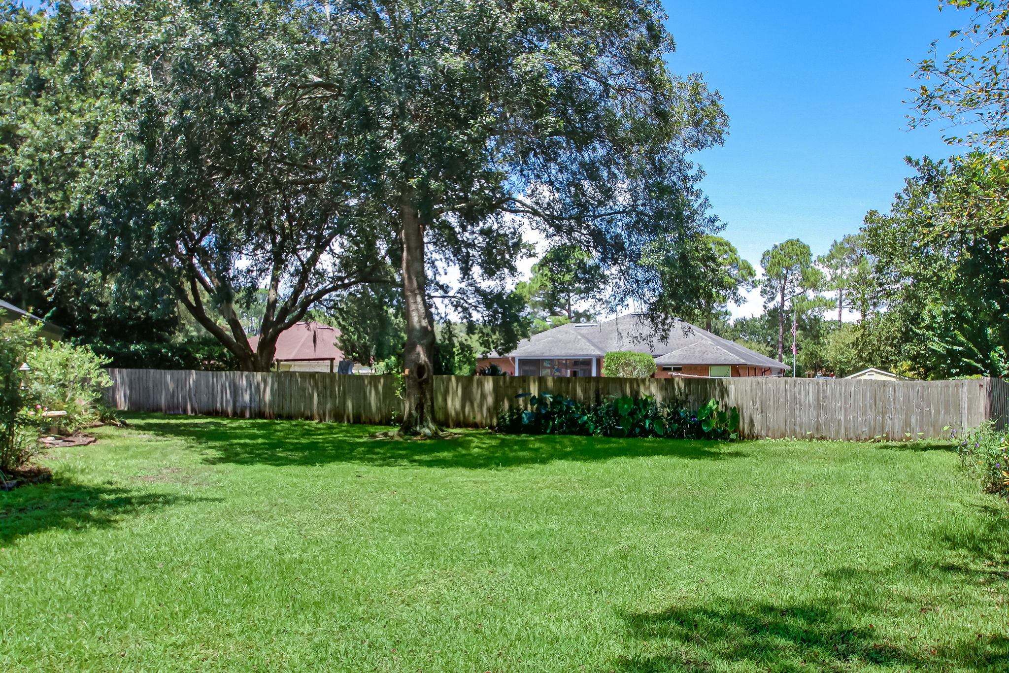 Backyard