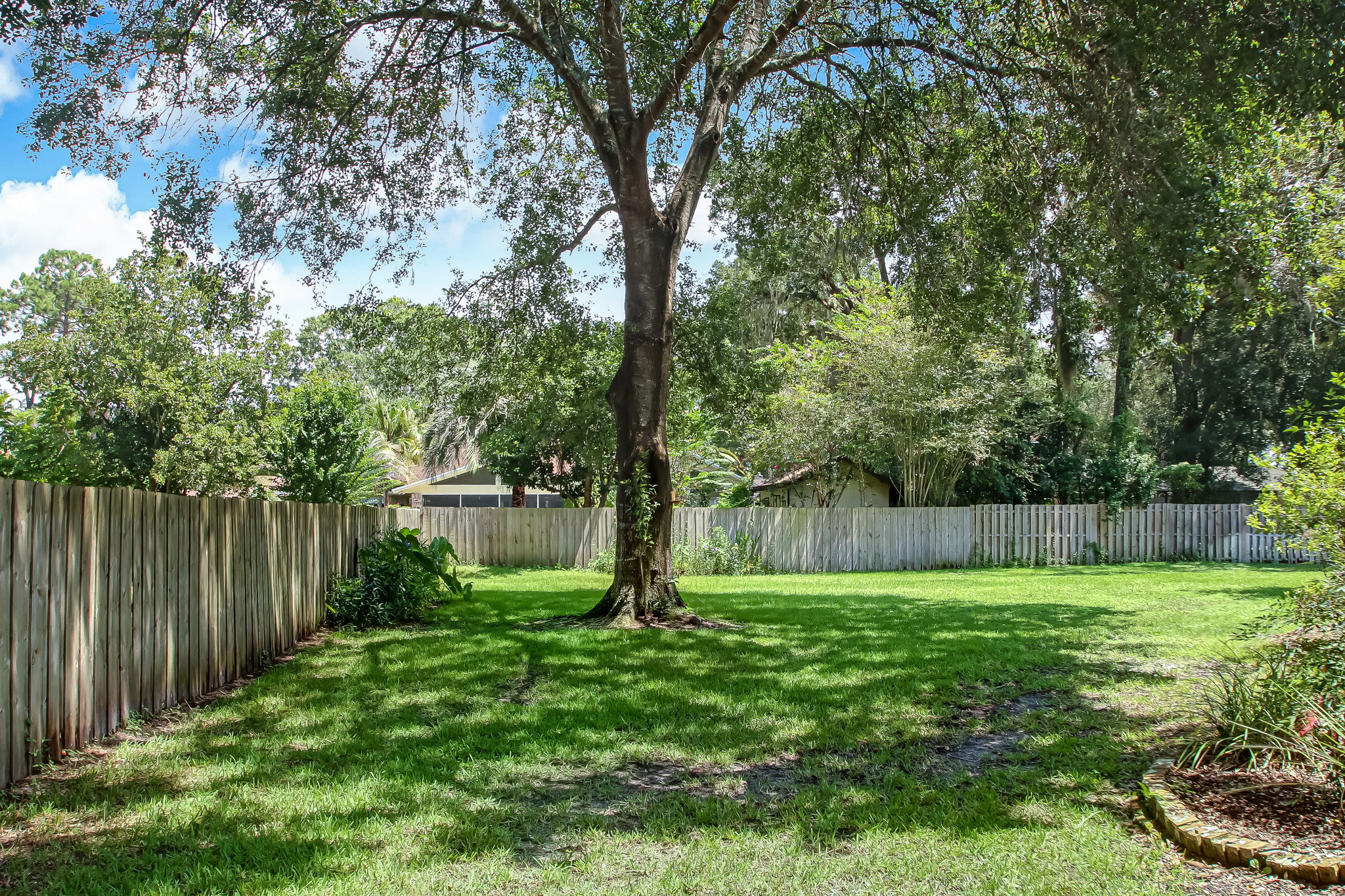 Backyard
