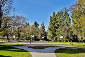 3123 Esperanza Dr, Concord, CA 94519, US Photo 24