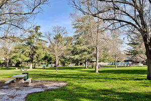 3123 Esperanza Dr, Concord, CA 94519, US Photo 27