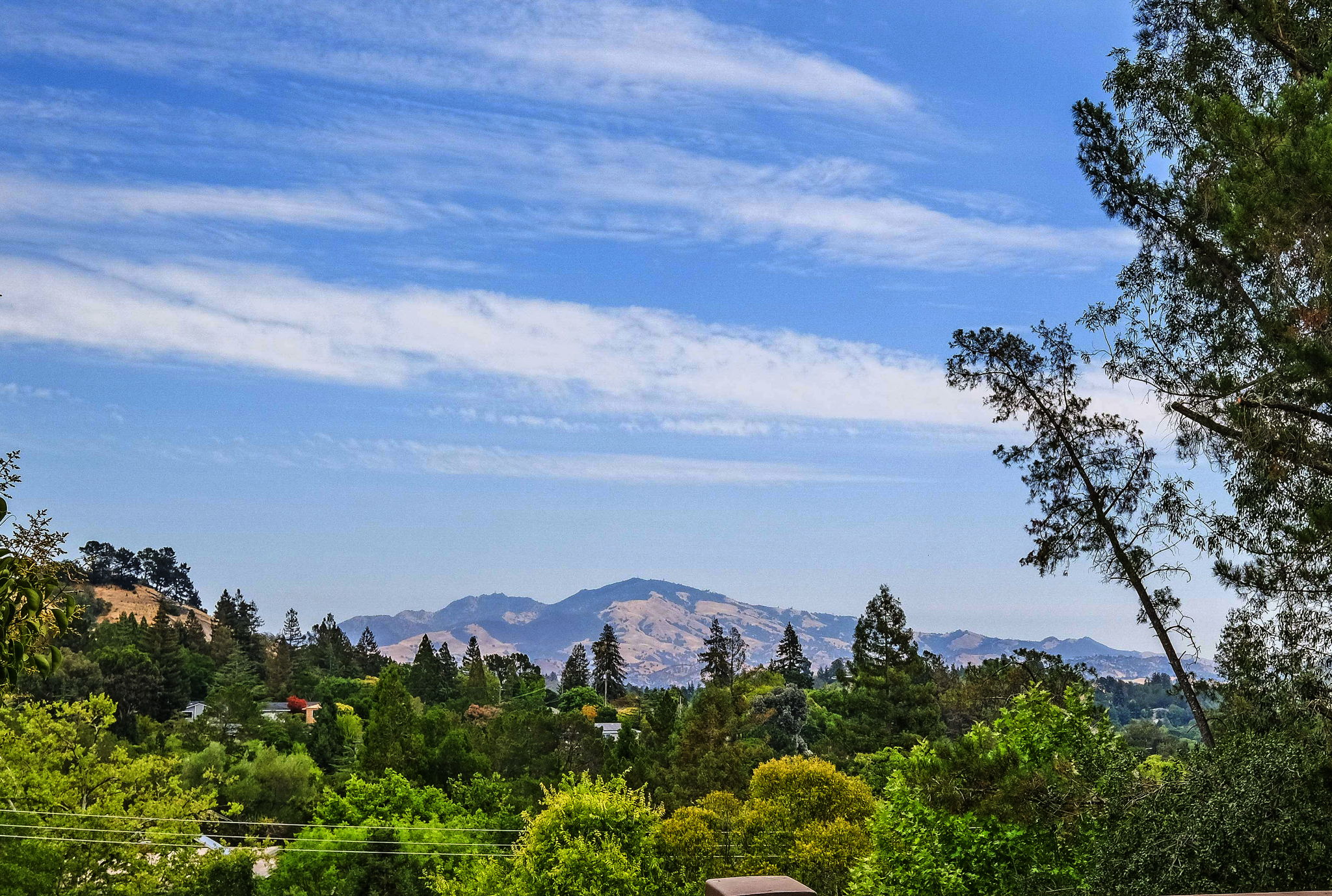 1091 Orchard Rd, Lafayette, CA 94549, USA Photo 1