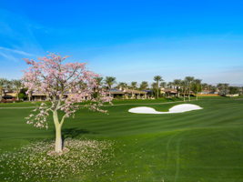 43147 Via Siena, Indian Wells, CA 92210, USA Photo 7