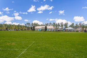 Nocatee