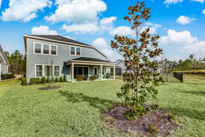 Back of Home