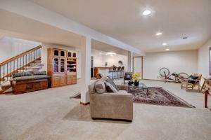 Basement Living Area