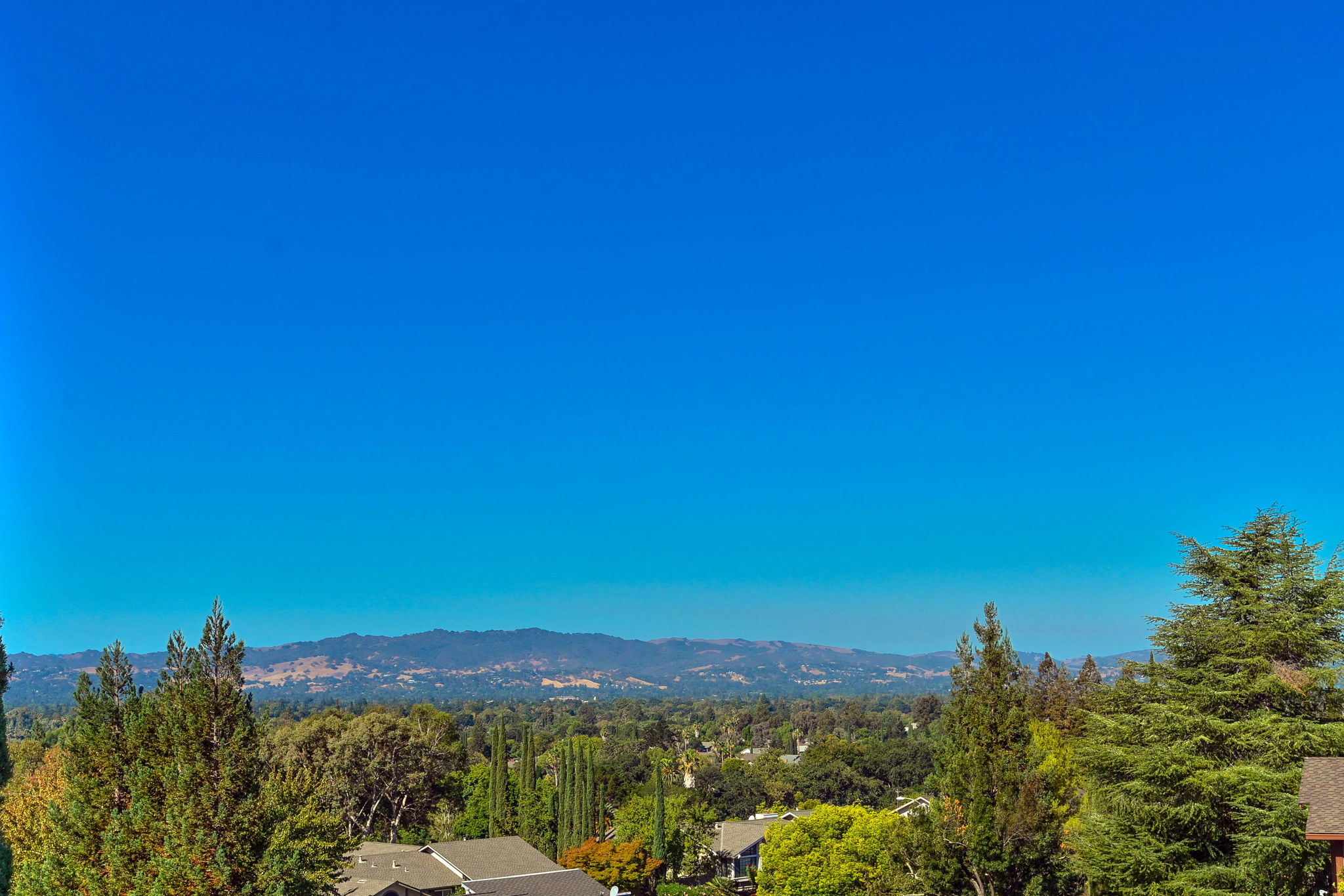 822 Navaronne Way, Concord, CA 94518, USA Photo 28