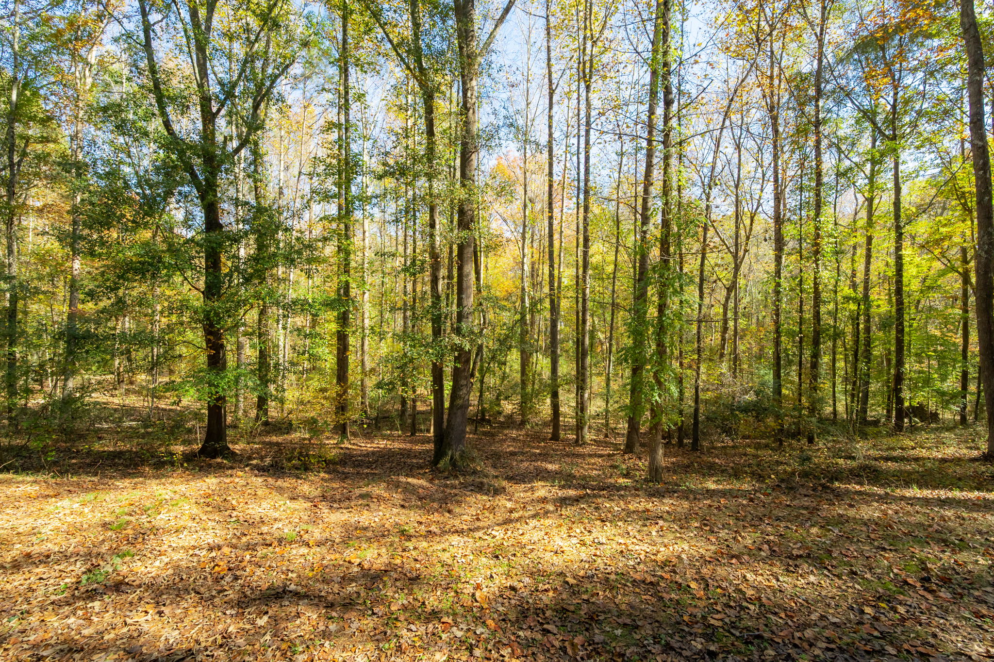 529 Turnberry Dr, Hiram, GA 30141, USA Photo 41