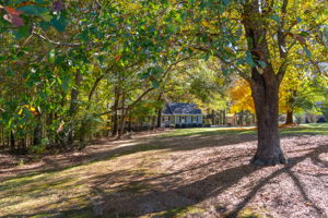 529 Turnberry Dr, Hiram, GA 30141, USA Photo 6