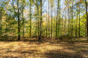 529 Turnberry Dr, Hiram, GA 30141, USA Photo 40