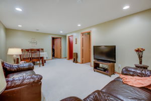 Lower Level - Main Living Area