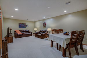 Lower Level - Main Living Area