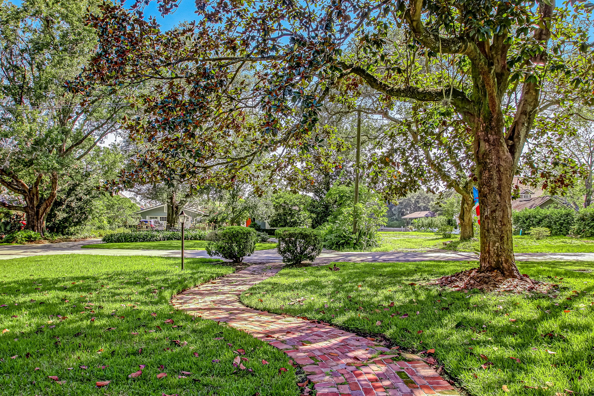Front Yard