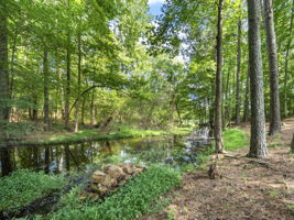 2880 Crystal Ridge Dr, Dacula, GA 30019, USA Photo 20