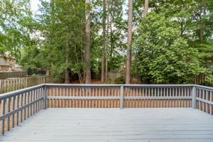 Back Deck