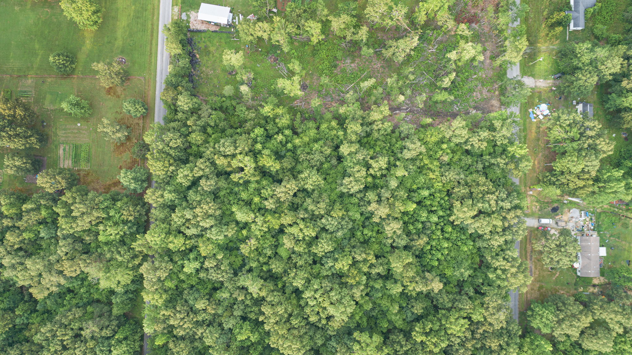 Alice Boynton Rd, Tennessee 37355, USA Photo 5