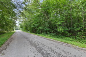 Alice Boynton Rd, Tennessee 37355, USA Photo 3