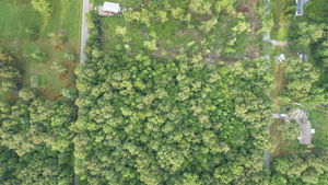 Alice Boynton Rd, Tennessee 37355, USA Photo 4
