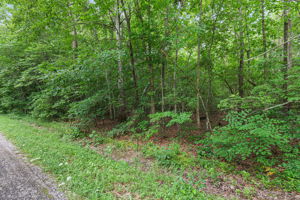 Alice Boynton Rd, Tennessee 37355, USA Photo 1