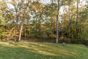 Back Yard Overlooking Golf Course