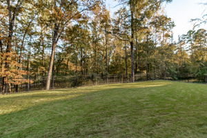 Back Yard Overlooking Golf Course