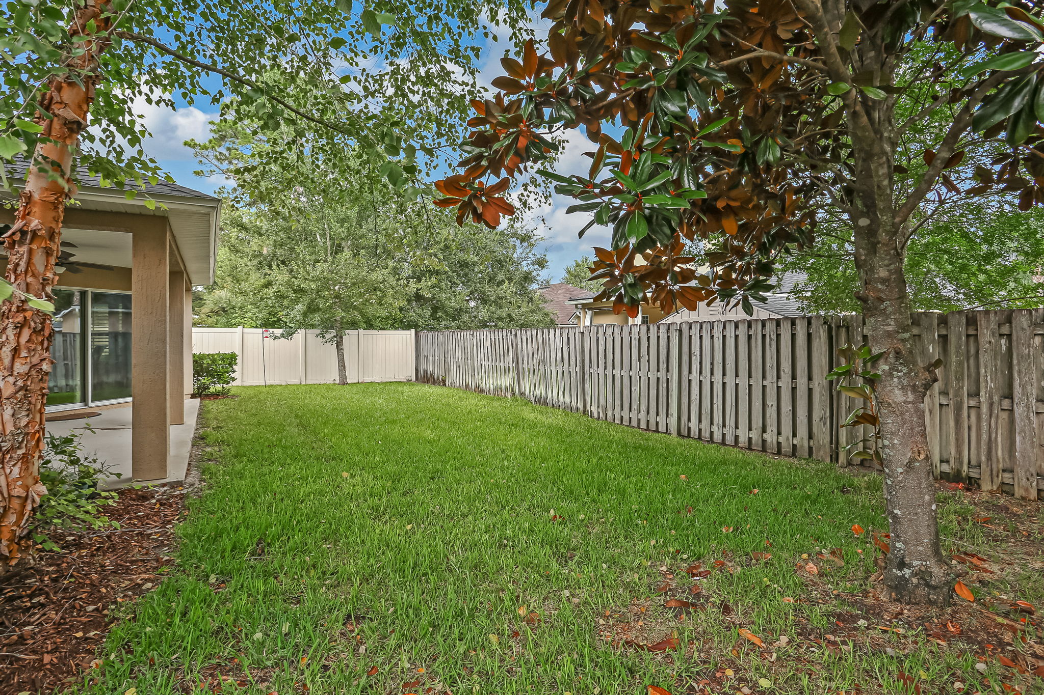 Back Yard