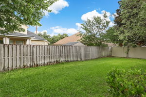 Back Yard