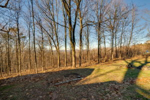195 Cedarwood Ln, Newington, CT 06111, US Photo 37