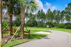 Kelly Pointe