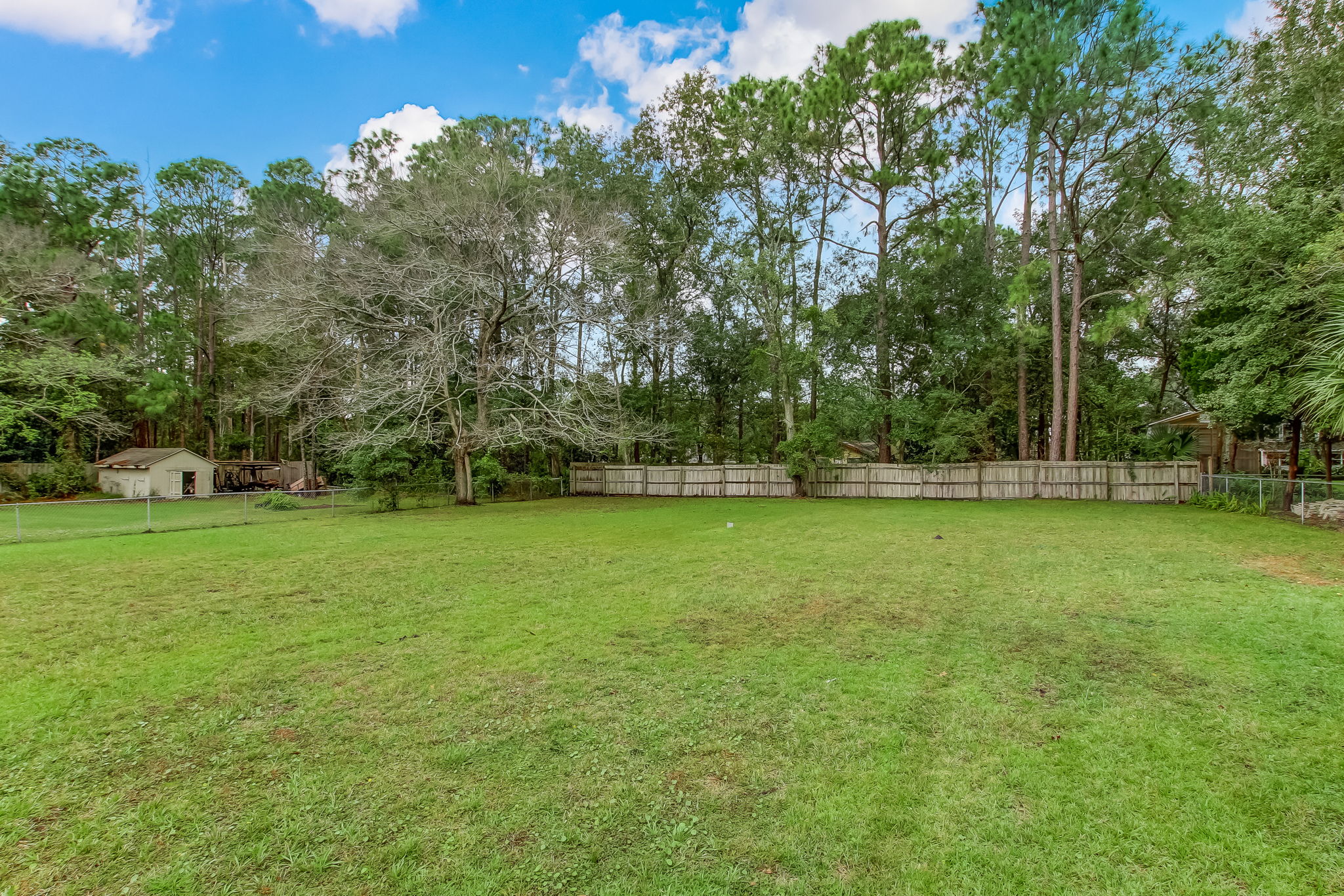Backyard