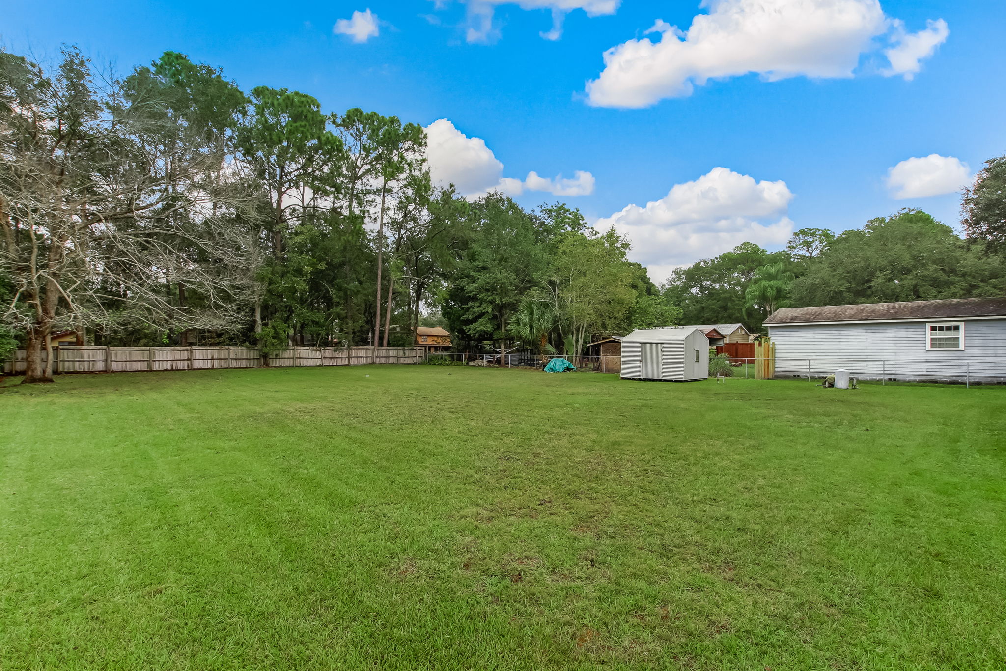 Backyard