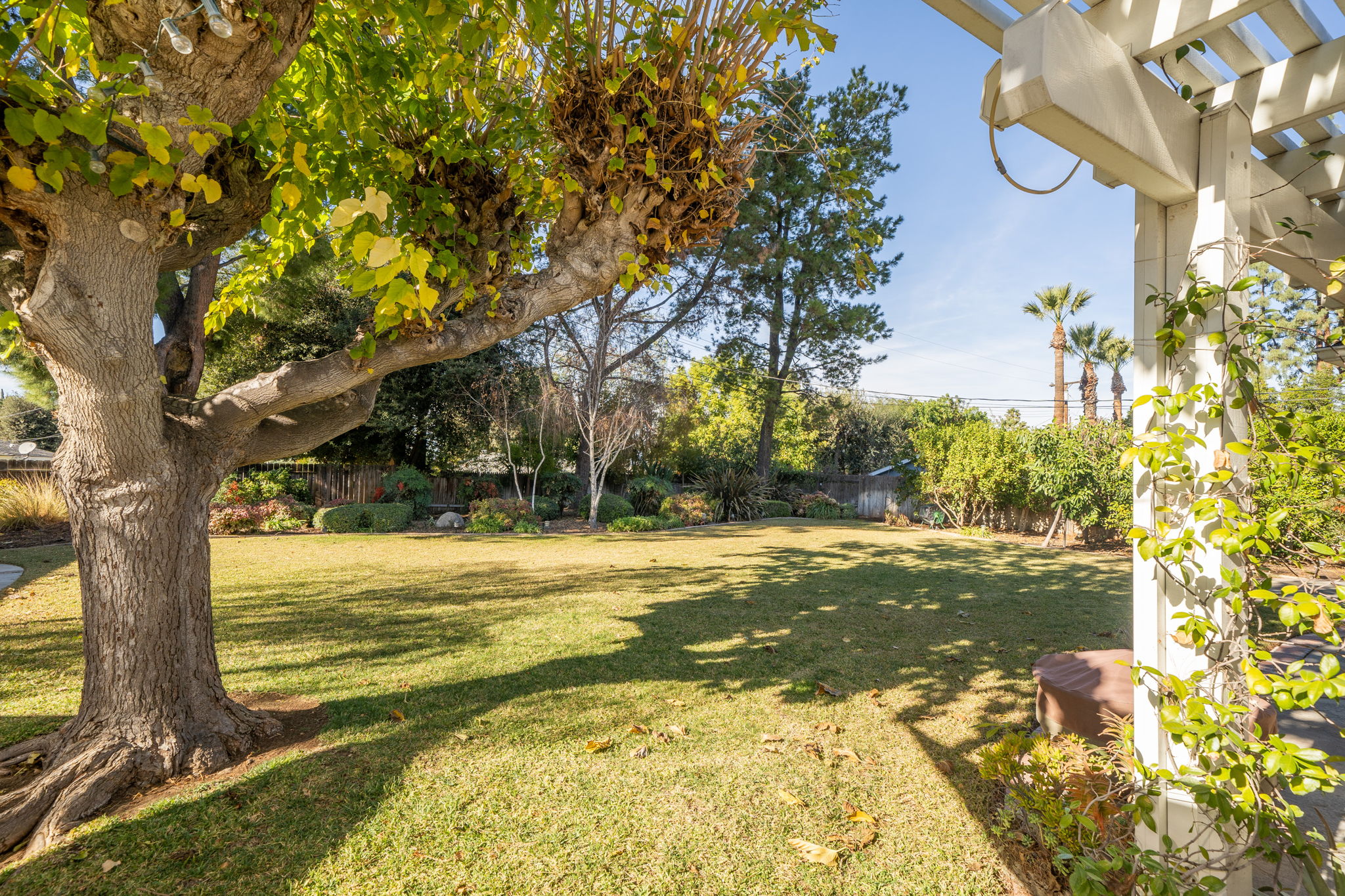5531 Cornwall Ave, Riverside, CA 92506, US Photo 42